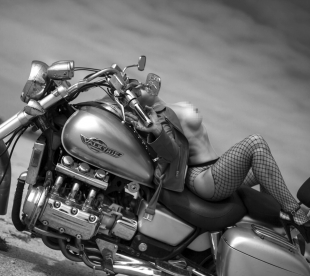 More lube '19